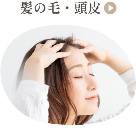 髪の毛・頭皮